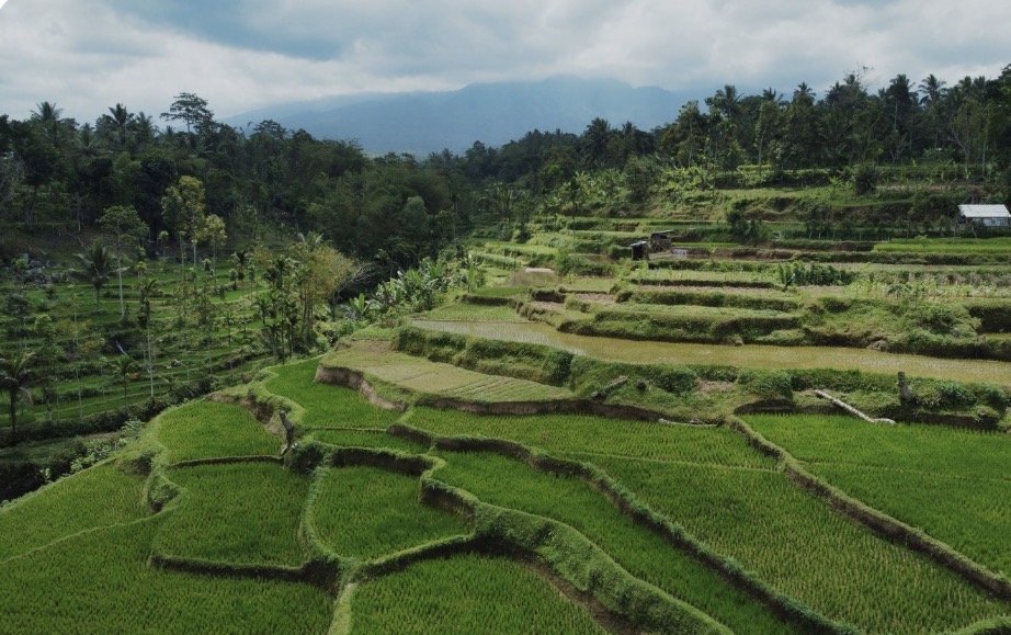 Tete batu